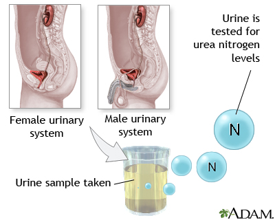 Nitrogen test