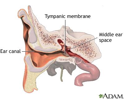 Normal anatomy