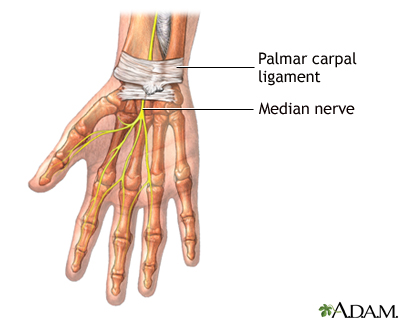 Normal anatomy