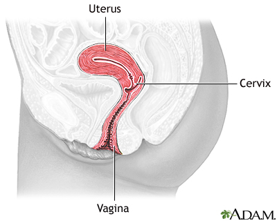 Normal anatomy