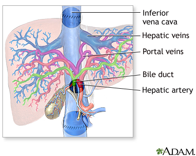 Procedure