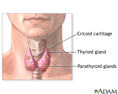 Normal anatomy