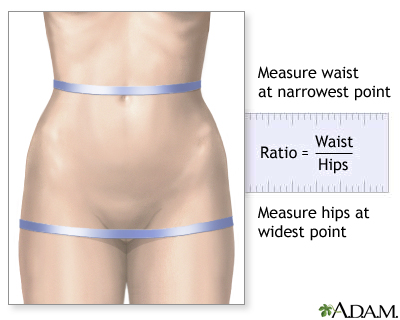 Waist-to-hip ratio