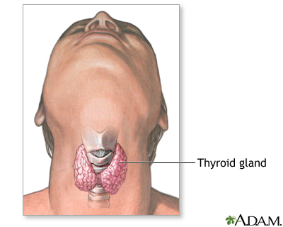 Normal anatomy