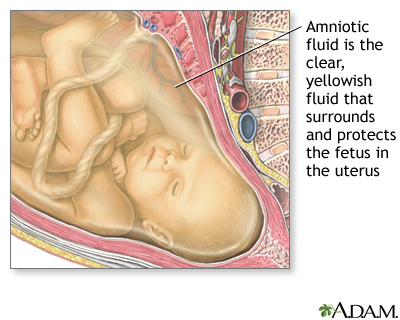 Amniotic fluid