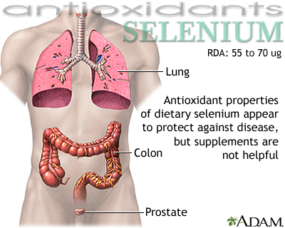 Selenium - antioxidant