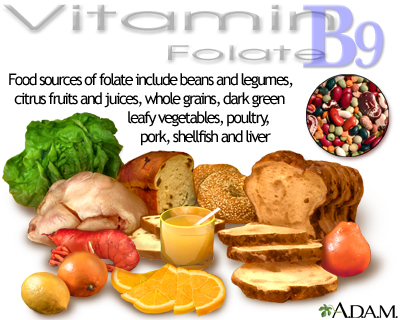 Vitamin B9 source