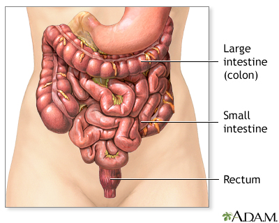 Intestinal gas