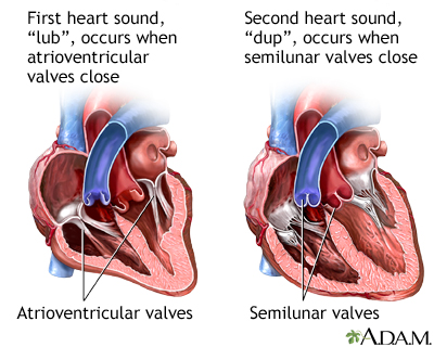 Heart beat