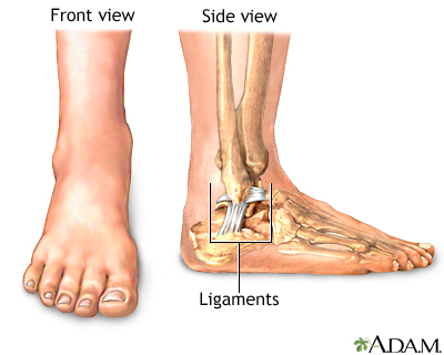 Normal anatomy