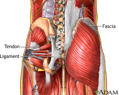 Muscle pain