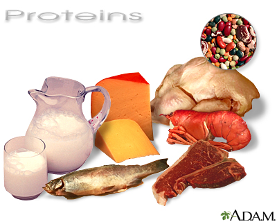 Proteins