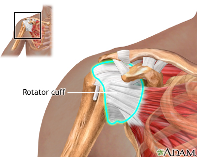 Normal anatomy