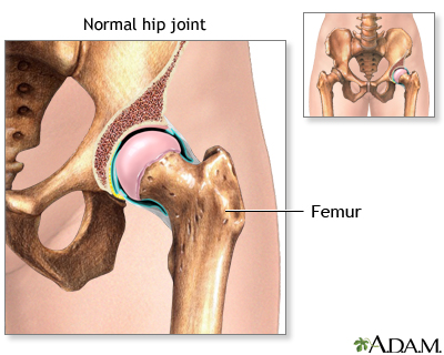 Normal anatomy