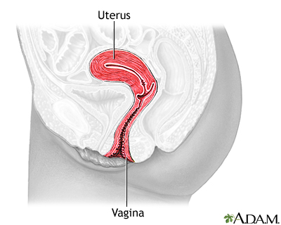 Normal anatomy