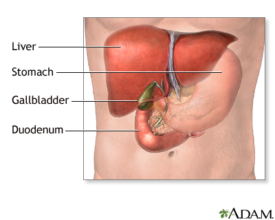 Normal anatomy