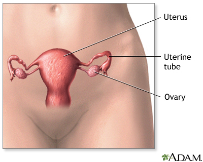 Normal anatomy