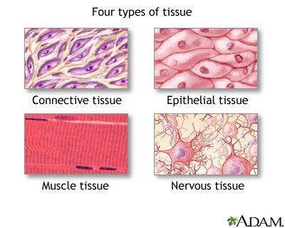 Tissue types