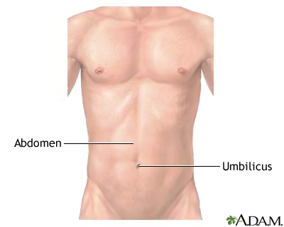 Normal external abdomen