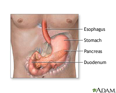 Secretin stimulation test