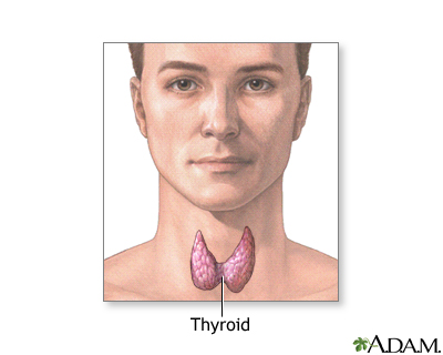 Thyroid gland