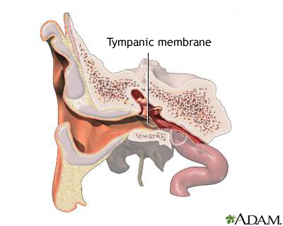 Tympanic membrane