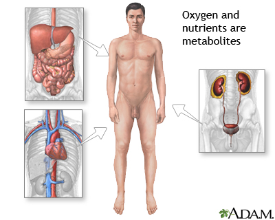 Metabolite