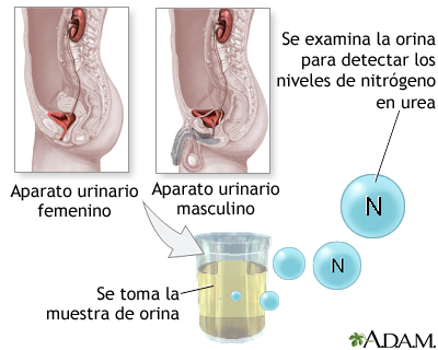 Prueba de nitrógeno