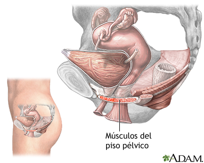 Procedimiento (segunda parte)