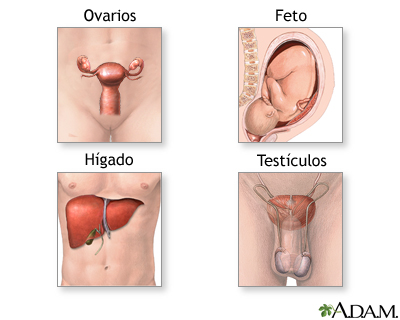 Indicaciones