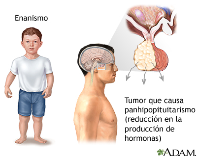 Resultados