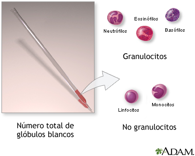 Indicaciones