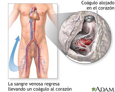 Indicaciones (segunda parte)