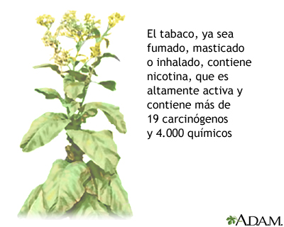 Tabaco y sustancias químicas