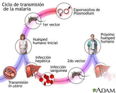 Malaria