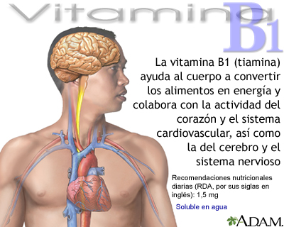 Beneficios de la vitamina B1