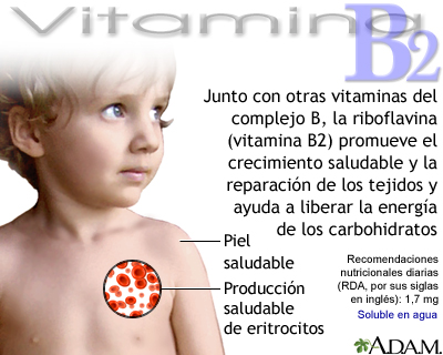 Beneficios de la vitamina B2