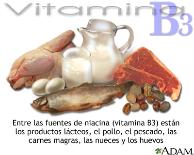 Fuentes de vitamina B3