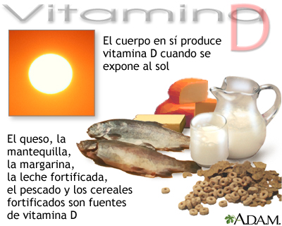 Fuentes de vitamina D