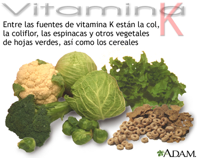 Fuentes de vitamina K