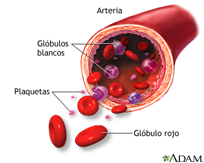 Elementos de la sangre formados