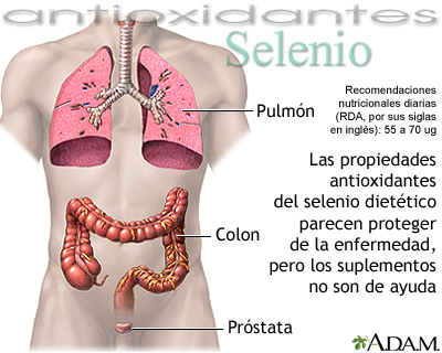 Selenio - antioxidante