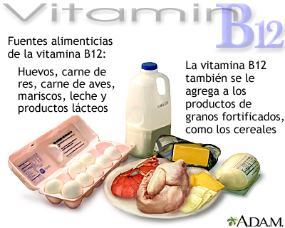 Fuentes de vitamina B12