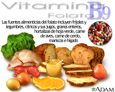 Fuentes de vitamina B9