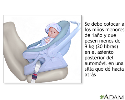 Silla para el automóvil que dé hacia atrás