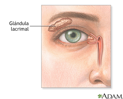 Glándula lacrimal