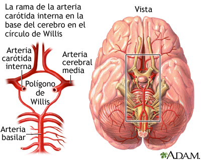 Parte 2