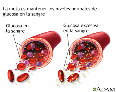 Glucosa en la sangre