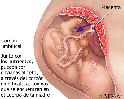 Drogadicción durante el embarazo