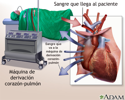 Procedimiento (primera parte)